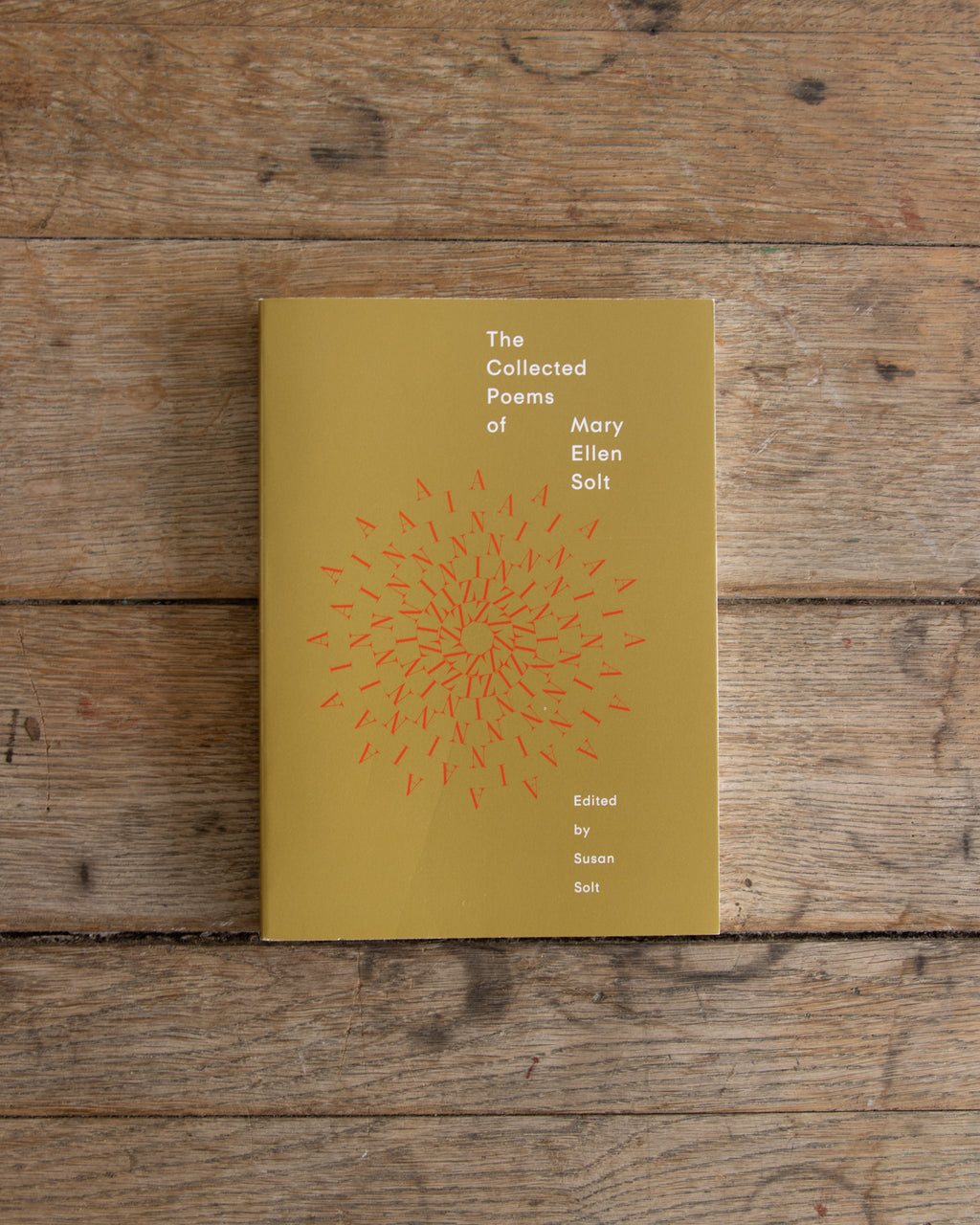 The Collected Poems Of Mary Ellen Salt