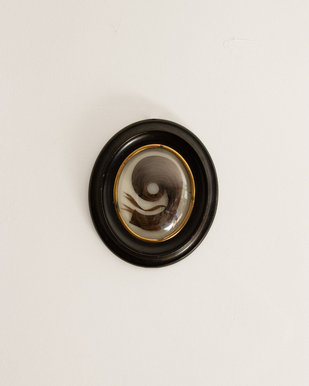 French Hair Souvenir (Brunette Comma)