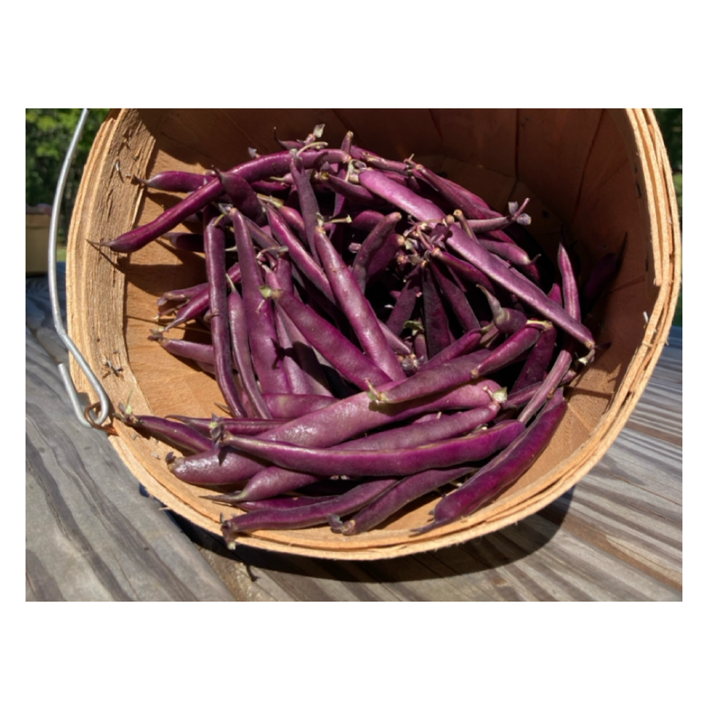 Our Favorite Farm Stands
