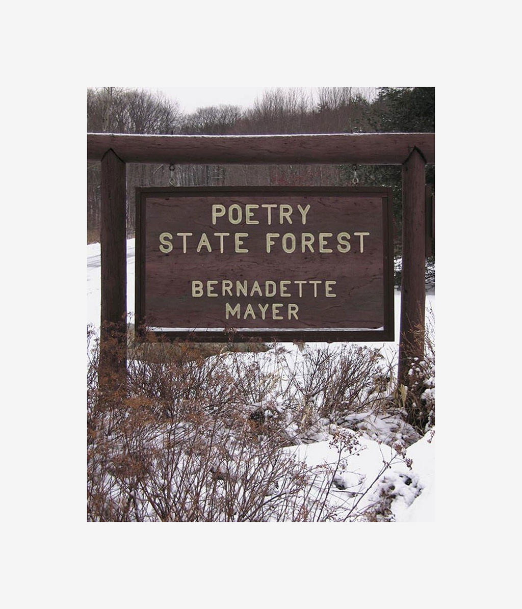 Bernadette Mayer Poetry State Forest