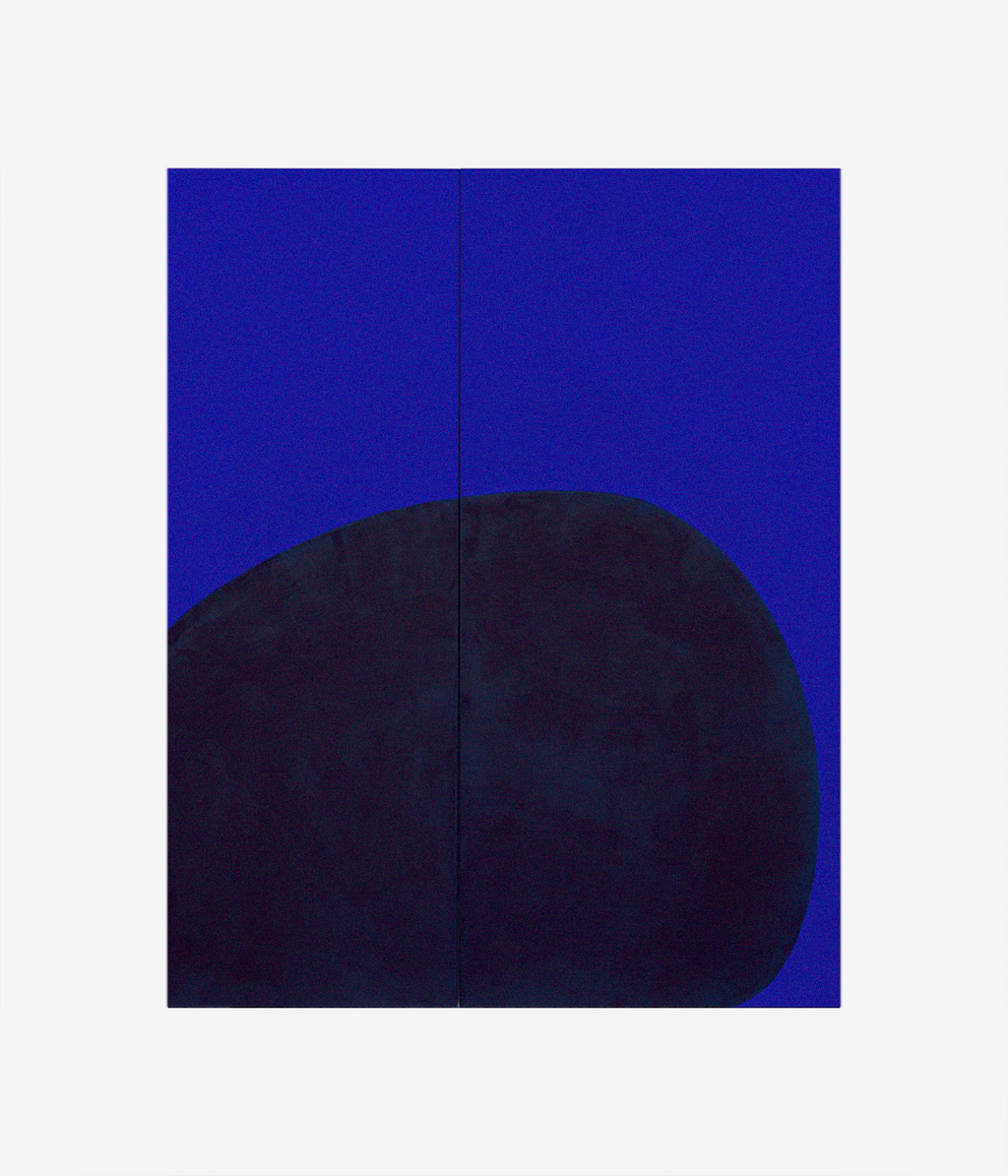 Suzan Frecon: The Light Factory