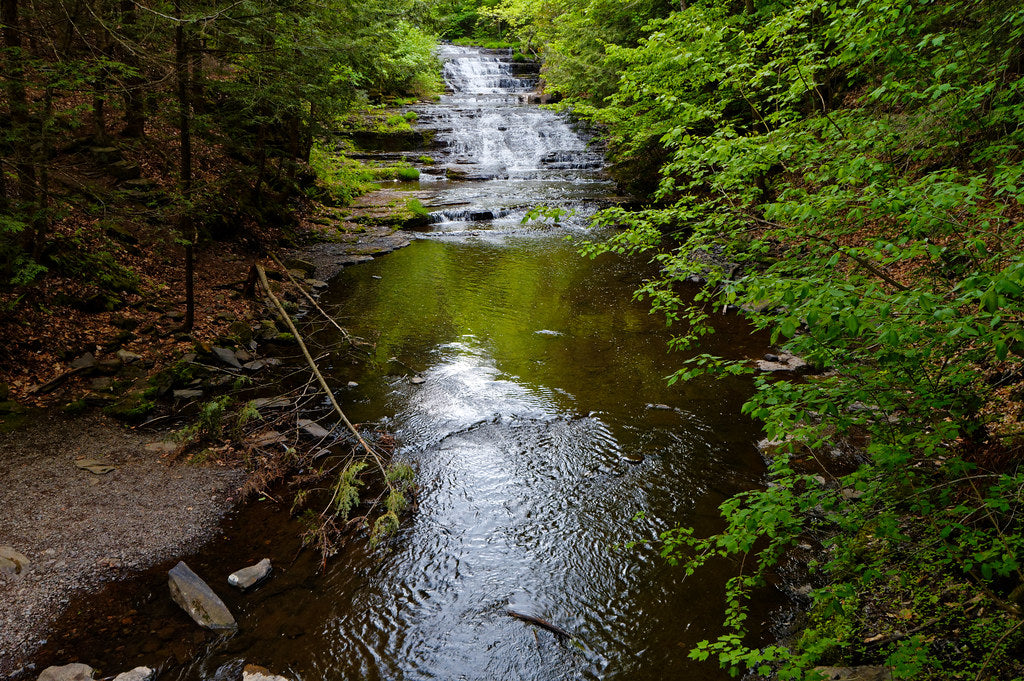 A JUNE DAY IN THE HELDERBERGS