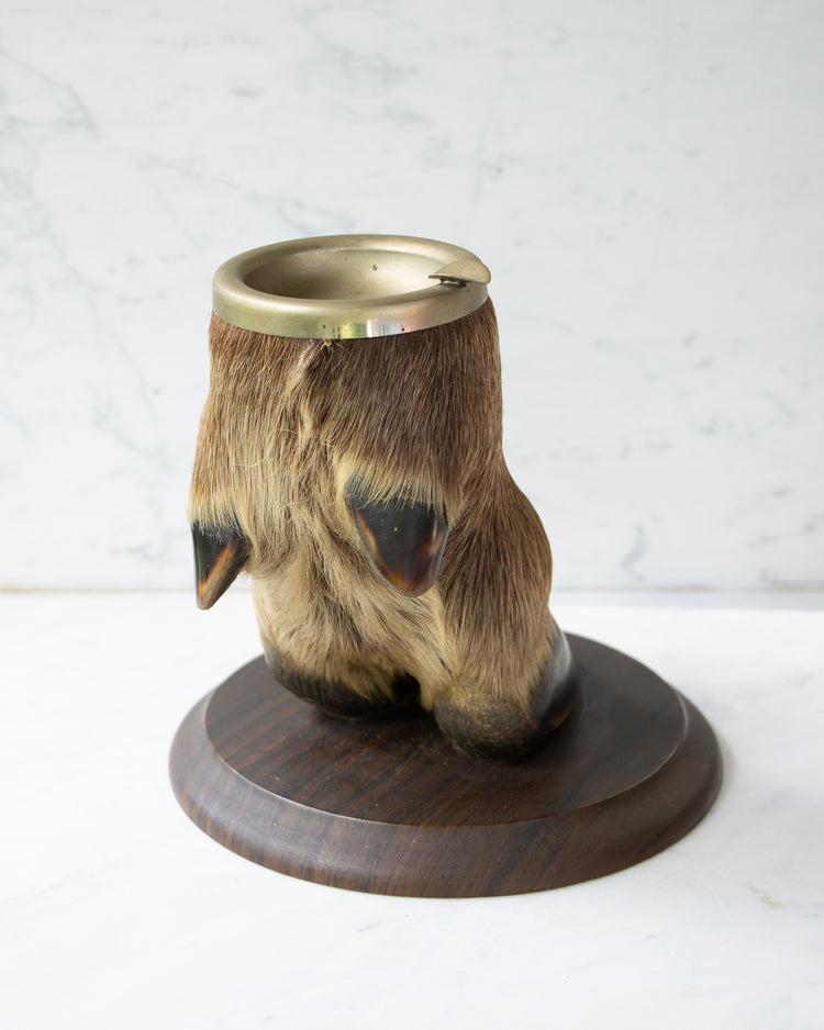Taxidermy Elk Foot Ashtray