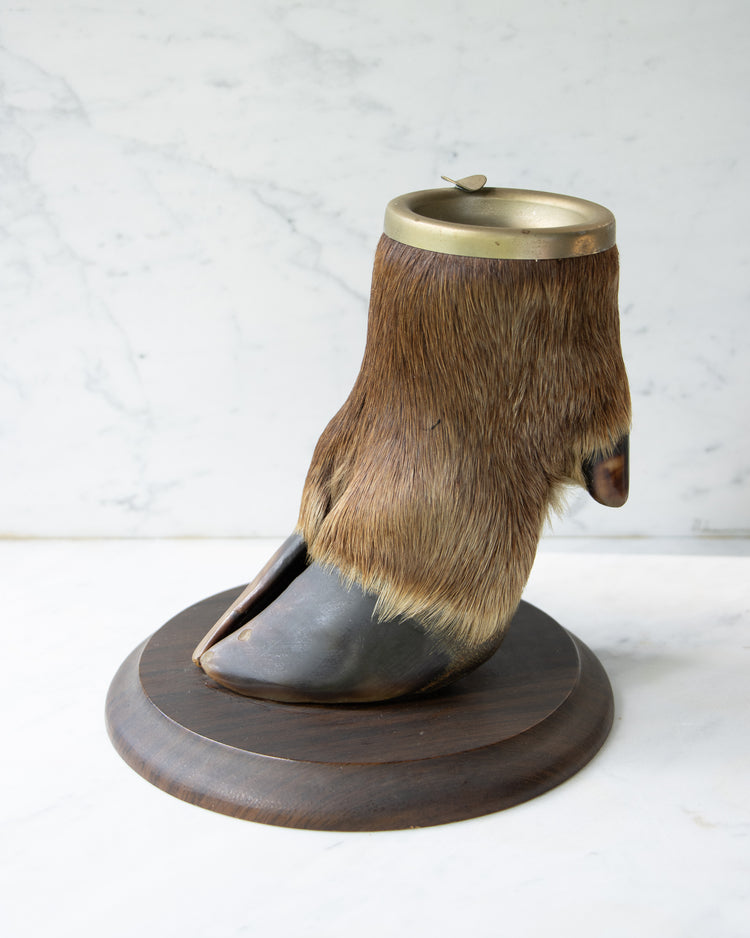 Taxidermy Elk Foot Ashtray