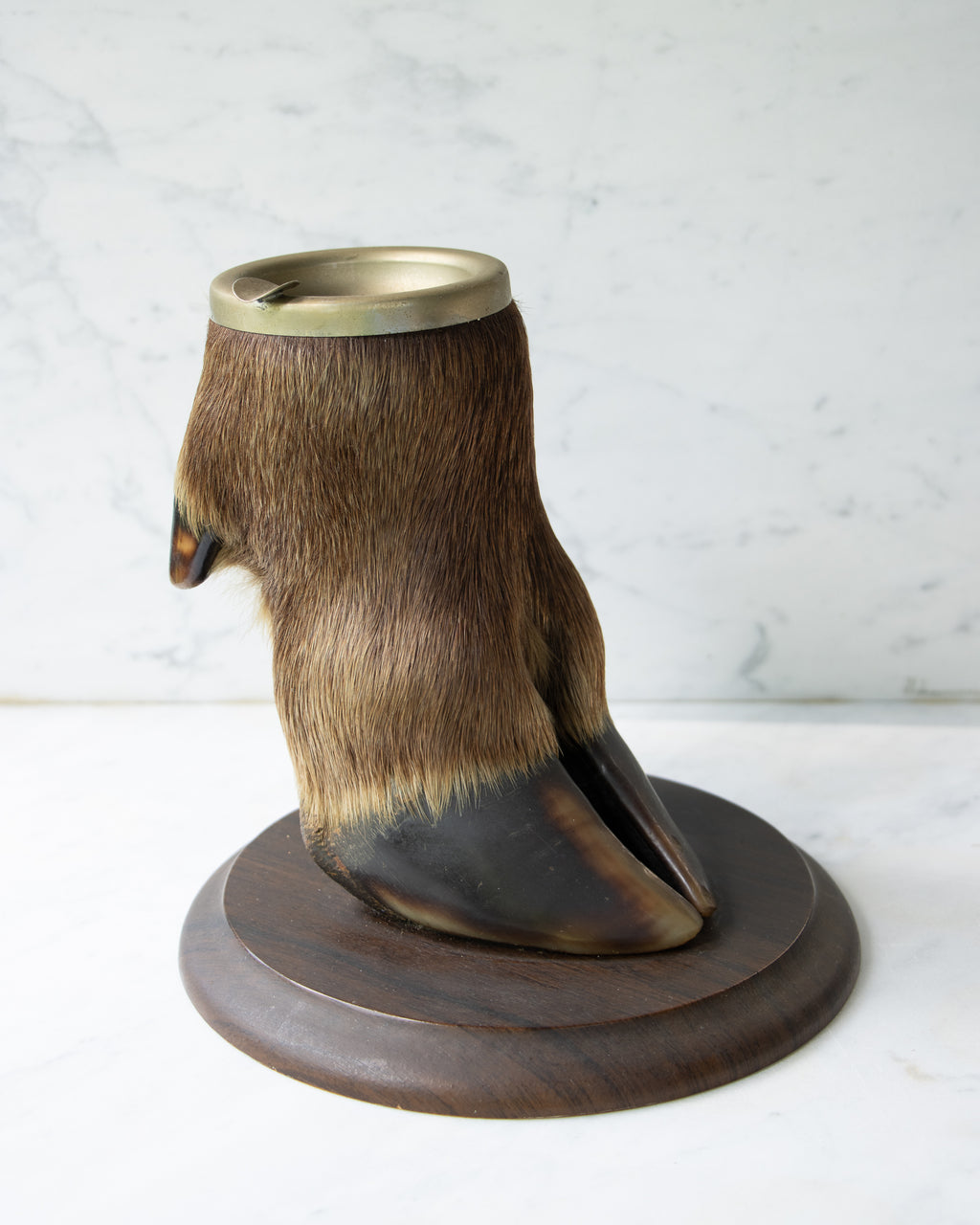Taxidermy Elk Foot Ashtray