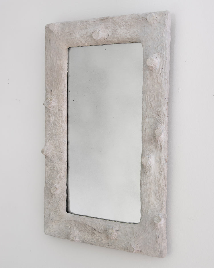 Faux Bois Framed Mirror