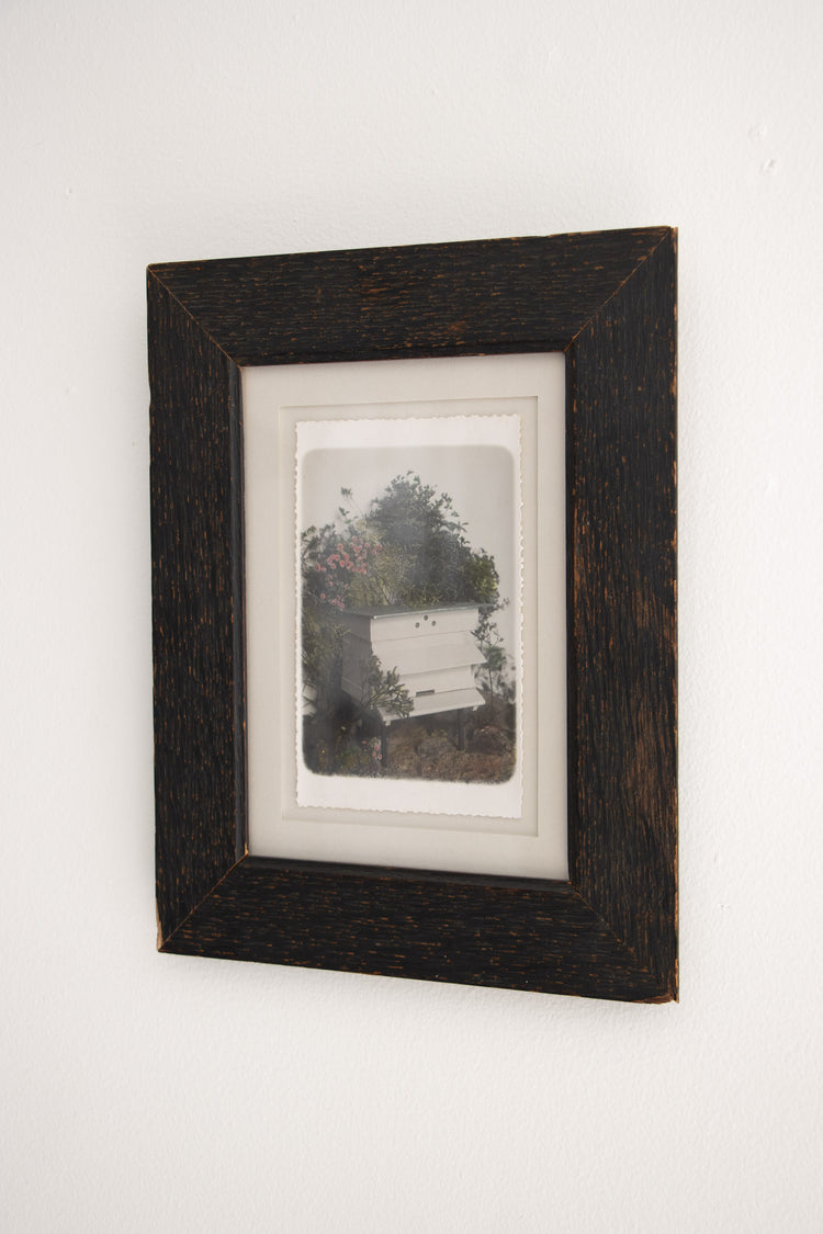 Framed Antique Hand-Tinted Photograph of a Beehive