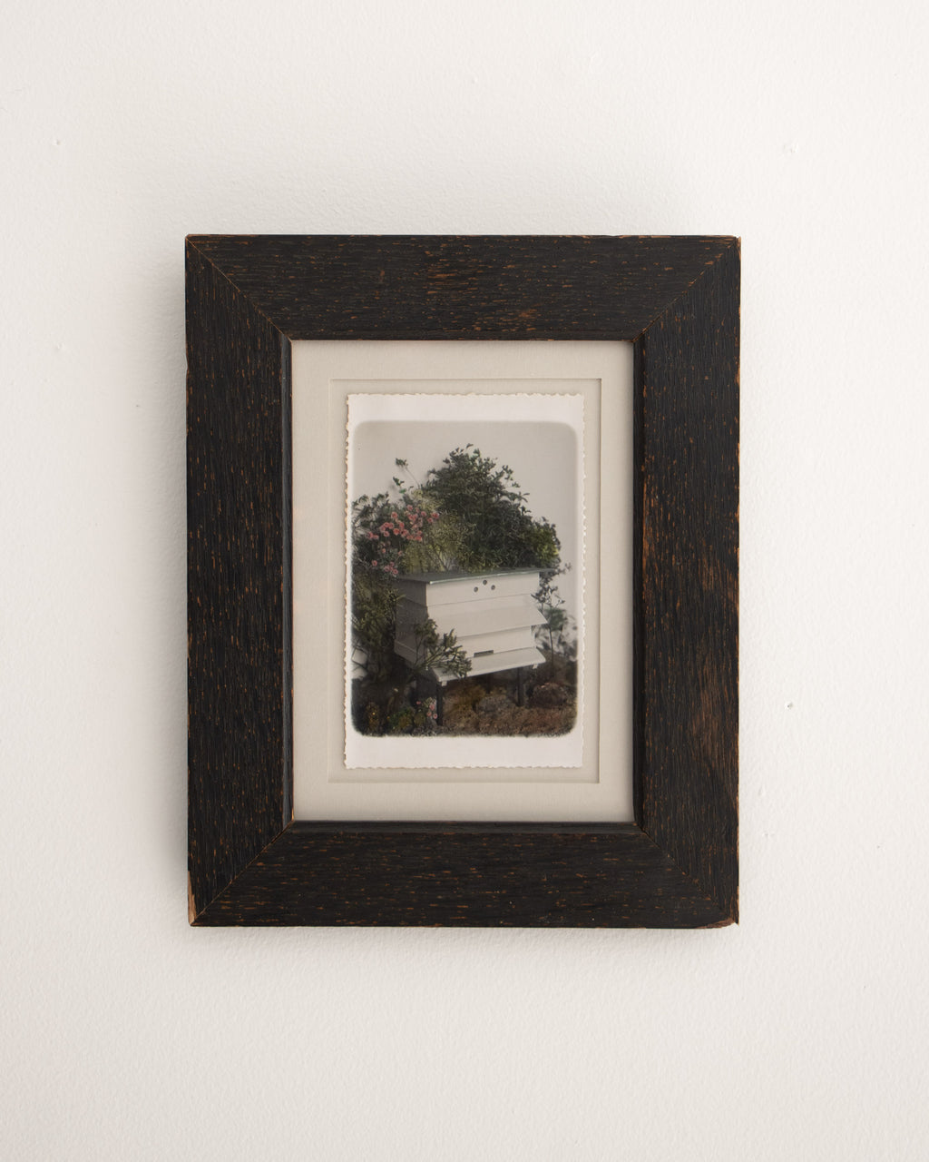 Framed Antique Hand-Tinted Photograph of a Beehive