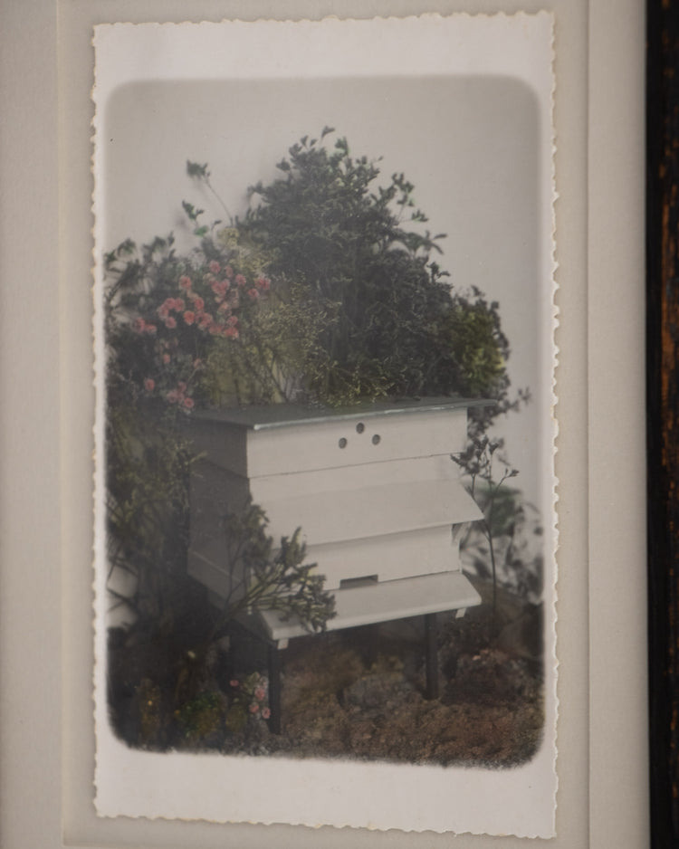 Framed Antique Hand-Tinted Photograph of a Beehive
