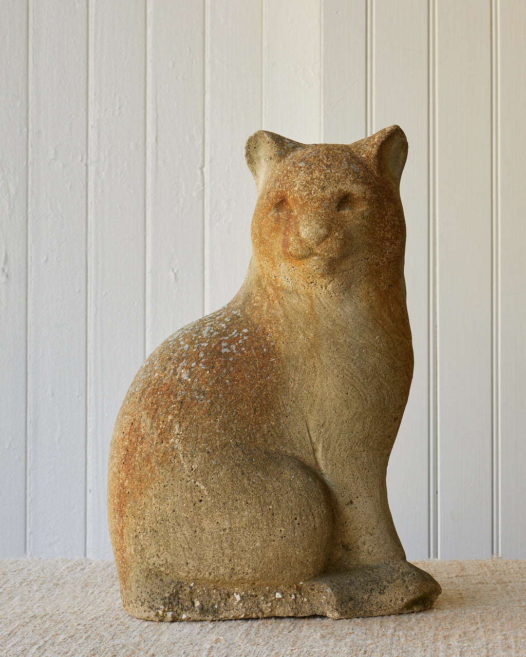 Concrete Cat