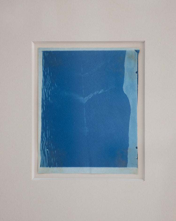 Cyanotype Landscape