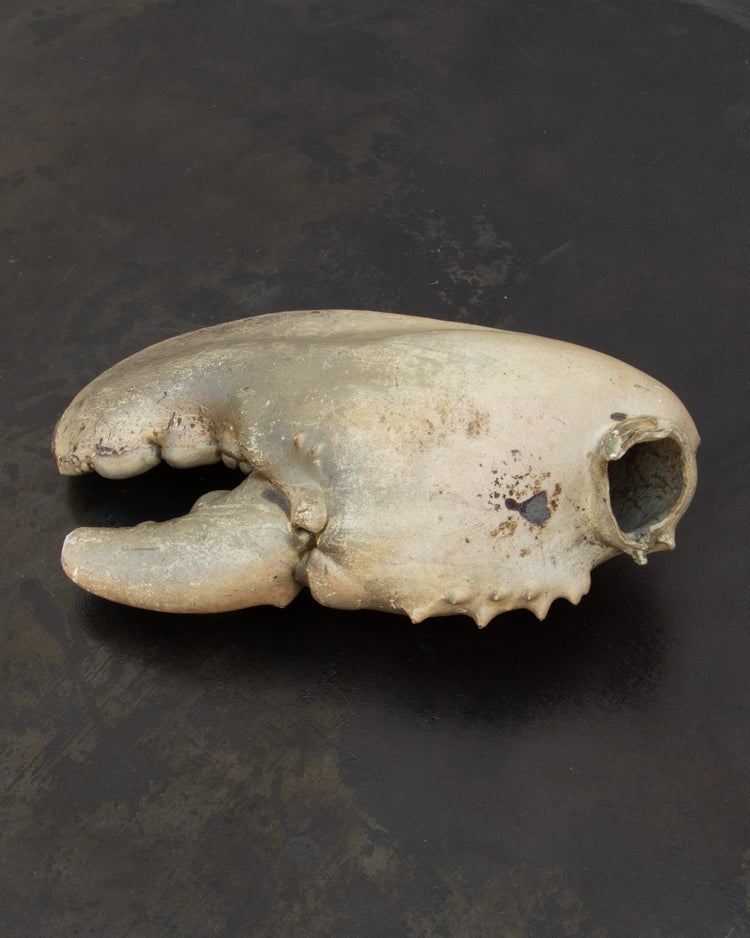 Centurian Lobster Claw