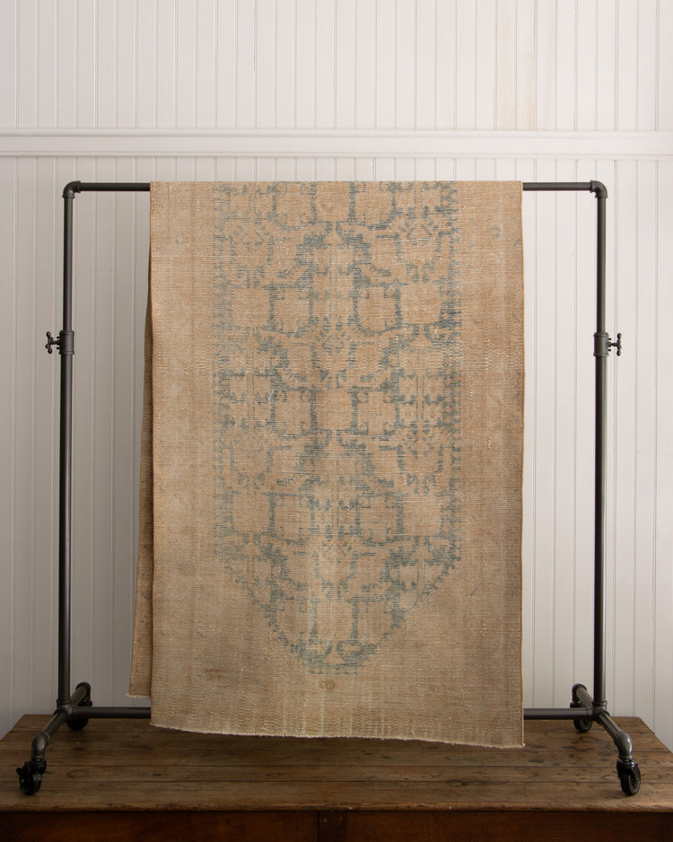Hamedan Rug