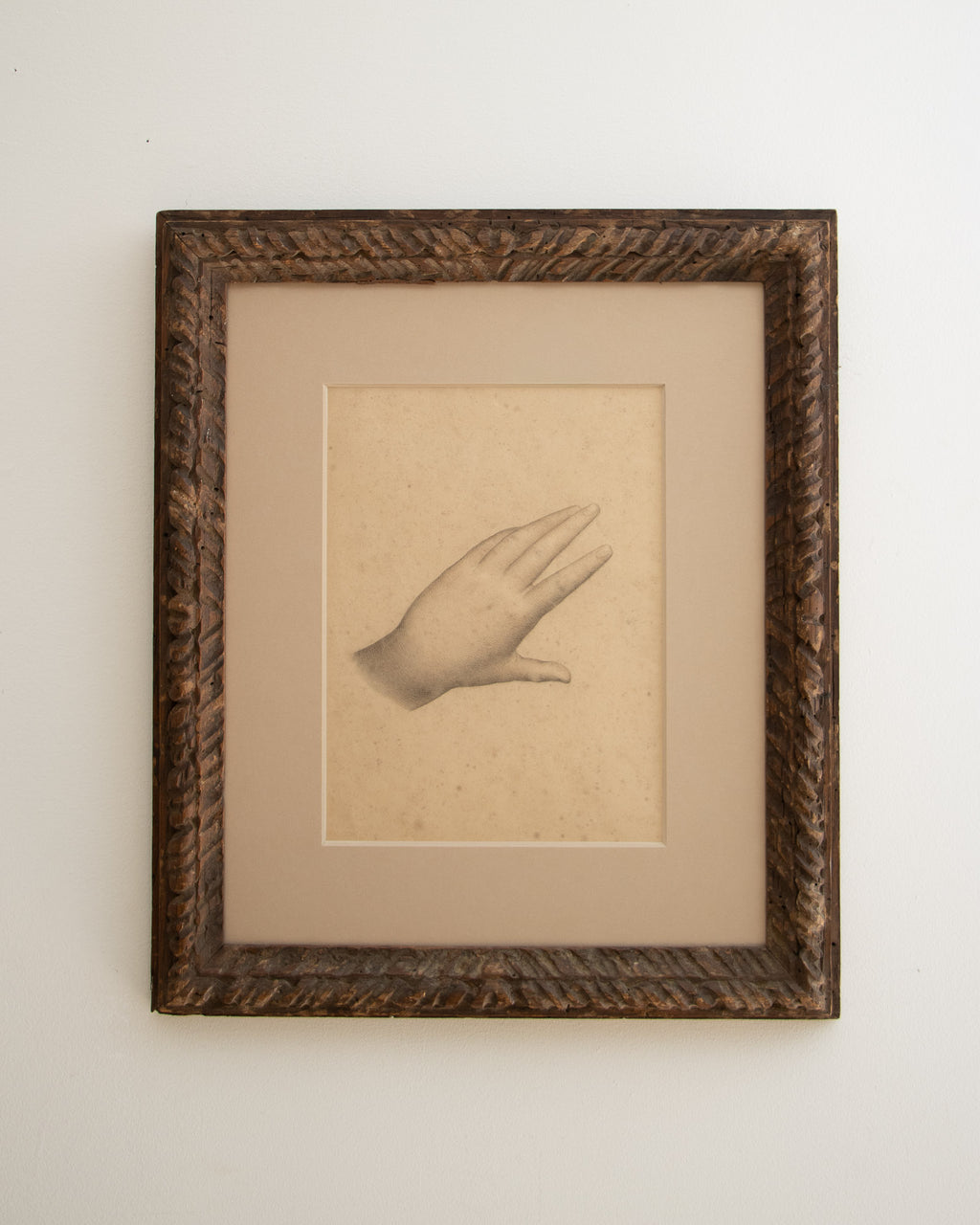 Study of a Hand