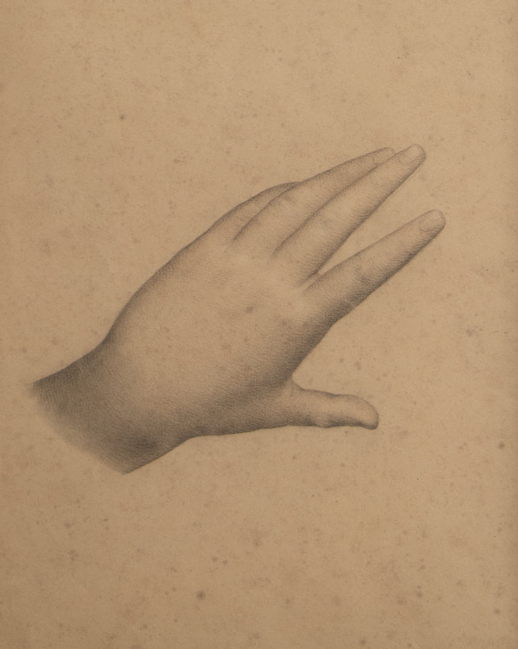 Study of a Hand