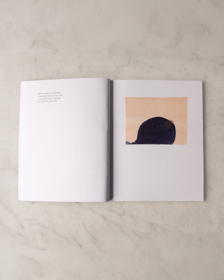 PRE ORDER  The Light Factory: Suzan Frecon and Marcella Durand