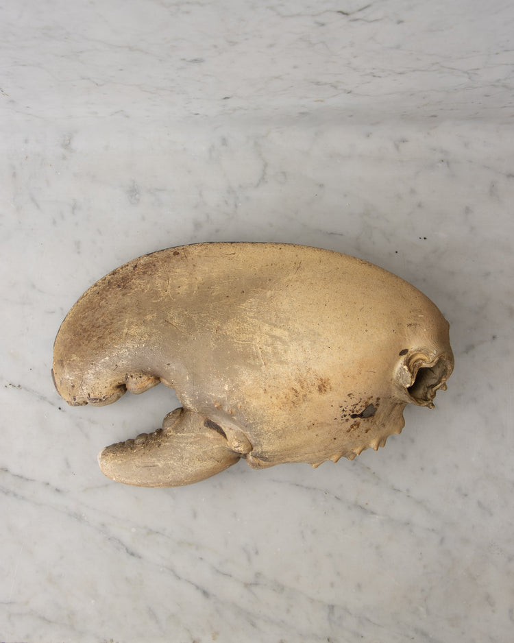 Centurian Lobster Claw
