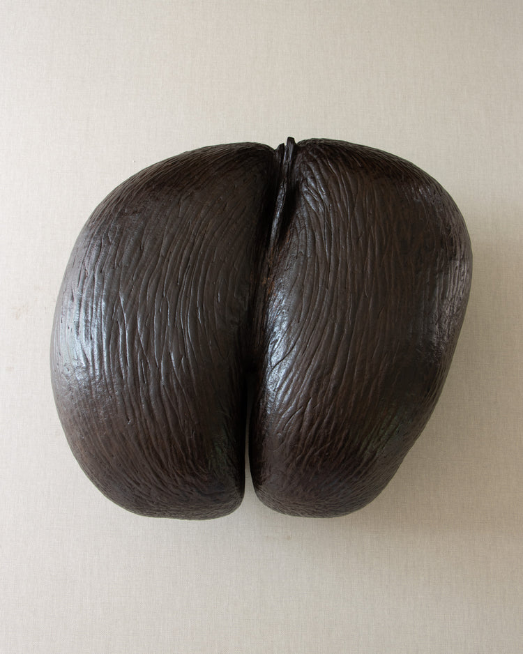 Coco de Mer