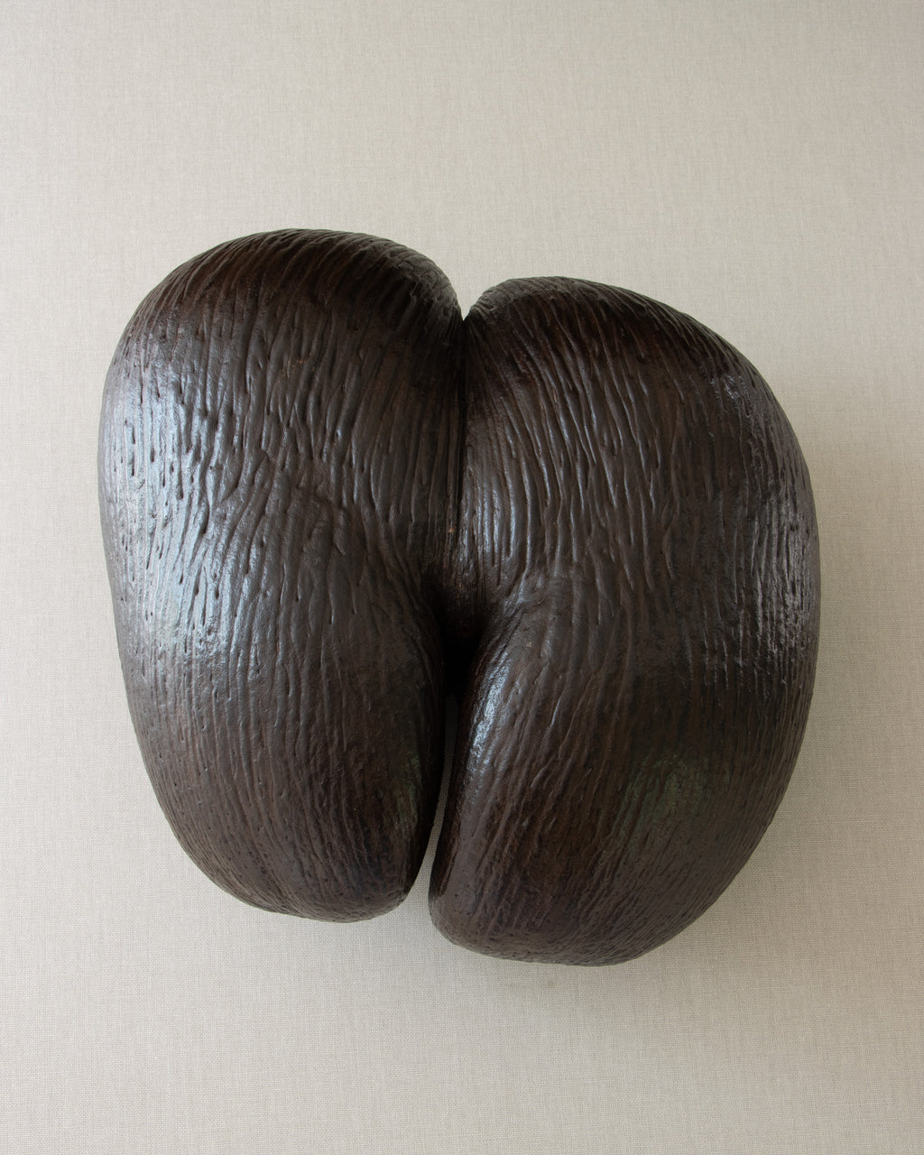 Coco de Mer