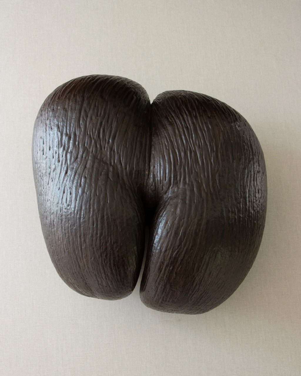 Pidgin image
